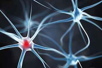 Reducing the destructive effects of stress.